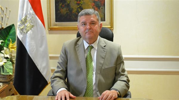 وزير قطاع الأعمال