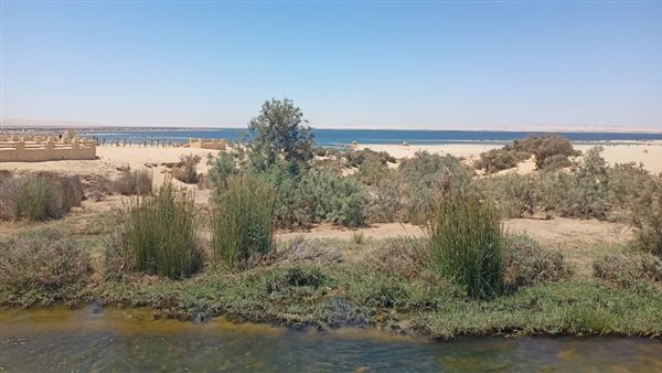 محميات الفيوم