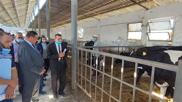 محافظ البحيرة يتفقد