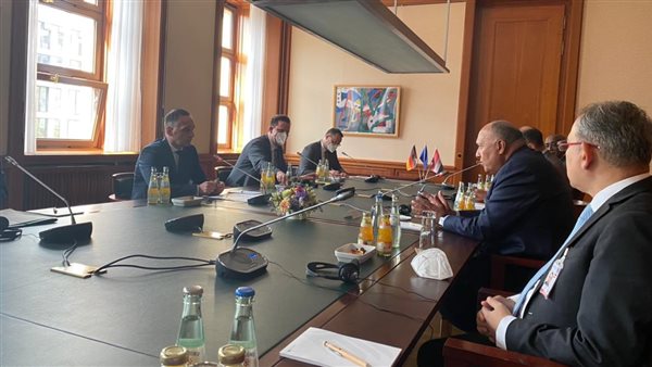 وزير الخارجية يلتقي