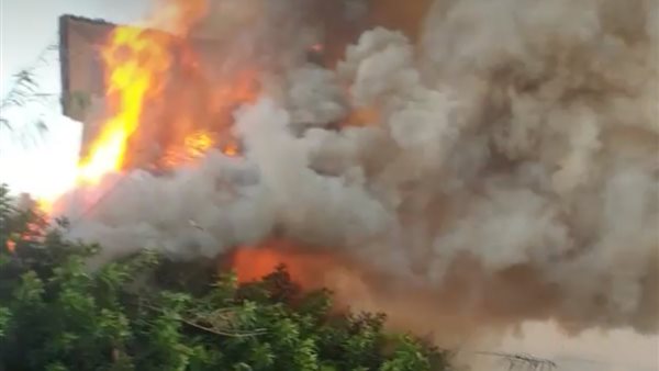 حريق مشتل رأس البر