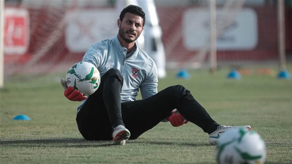 محمد الشناوي  