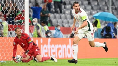 مشجع يقتحم مباراة ألمانيا والمجر بعلم المثليين (صور)