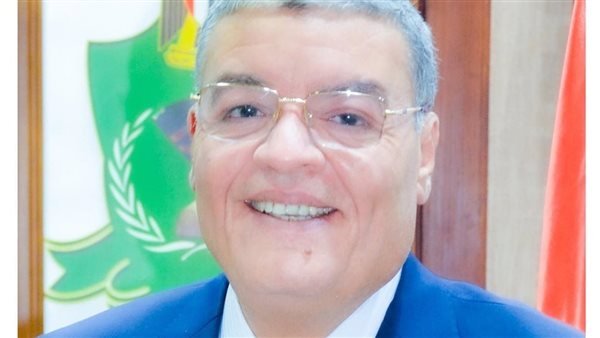 محافظ المنيا