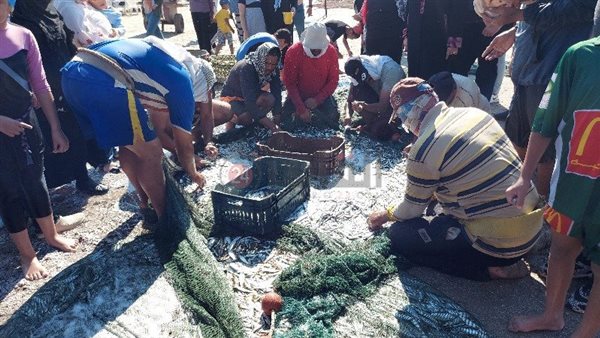 صيد الأسماك من شاطئ