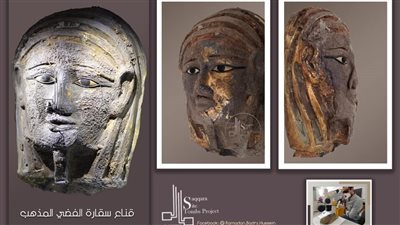 الوحيد في مصر.. رئيس البعثة الألمانية بسقارة يعلن تنظيف 