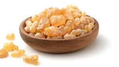 يعزز صحة الجهاز الهضمي ويقلل التوتر.. تعرف على منافع لبان الذكر