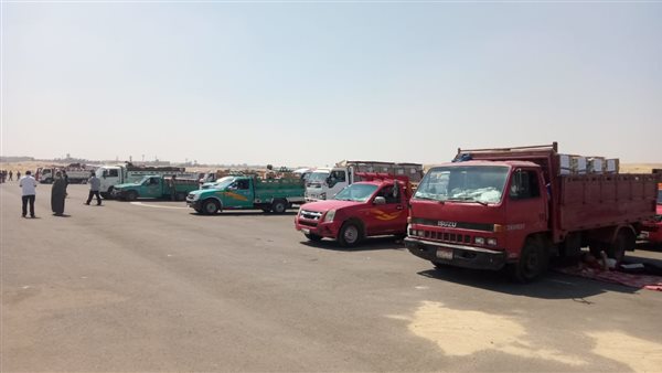 الناشرون ينقلون كتبهم