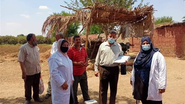 حملات تحصين