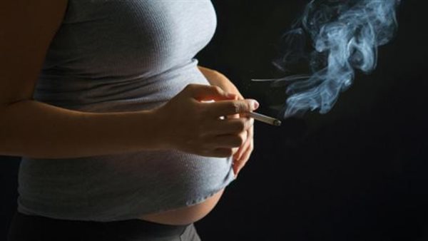الحوامل المدخنات