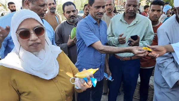 نائبة محافظ أسوان