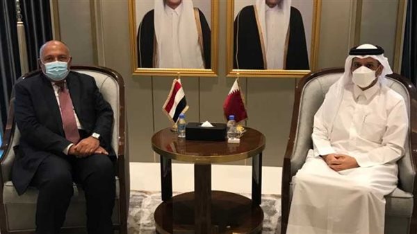 سامح شكري ونظيره