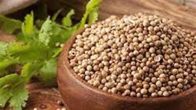 فوائد ماء بذور الكزبرة في علاج عدوى المسالك البولية