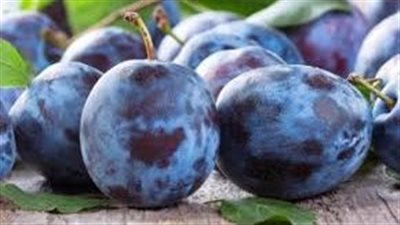  يسبب زيادة الوزن وتشوه الأجنة.. أضرار فاكهة البرقوق