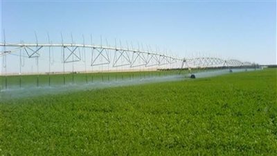 مزارعو المليون ونصف المليون فدان: المنيا أصبحت عاصمة مصر الزراعية 