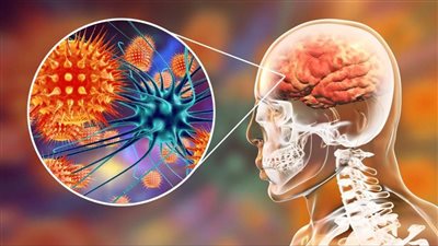 الهند تعثر على فيروس قاتل ينتقل عن طريق الحيوانات