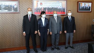 نائب رئيس هيئة 