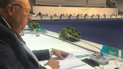 ‏وزير الخارجية: مصر ملتزمة بدعم جهود التحالف الدولي ضد 