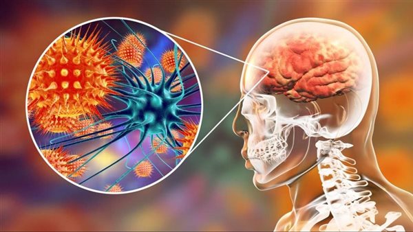 فيروس نيباه