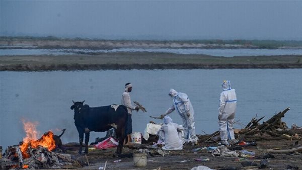 سلالة دلتا بلس بالهند