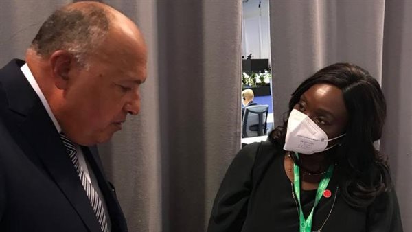 سامح شكرى وزير الخارجية