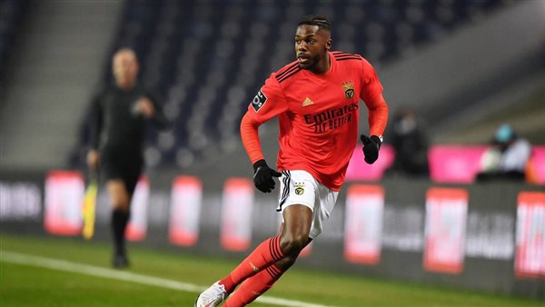 نونو تافاريس