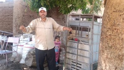 لليوم الثاني على التوالي.. إزالة الوصلات الكهربائية المخالفة لـ31 كولدير غرب الأقصر