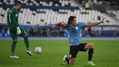 كافاني يغيب عن منتخب الأورجواي في تصفيات المونديال