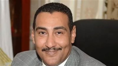 الجبلاوي: مكتب الخبراء هو سبب تعطيل الفصل في القضايا.. وهناك مكتب واحد به 20 موظفًا ودولابًا 