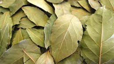 فوائد ورق اللوري للصحة والشعر