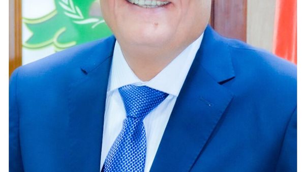 محافظ المنيا