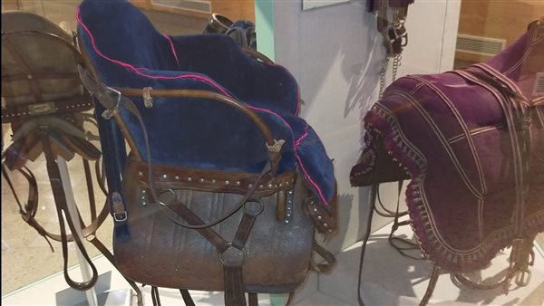 “سرج أطفال” بمتحف