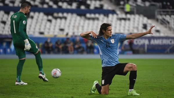 إدينسون كافاني