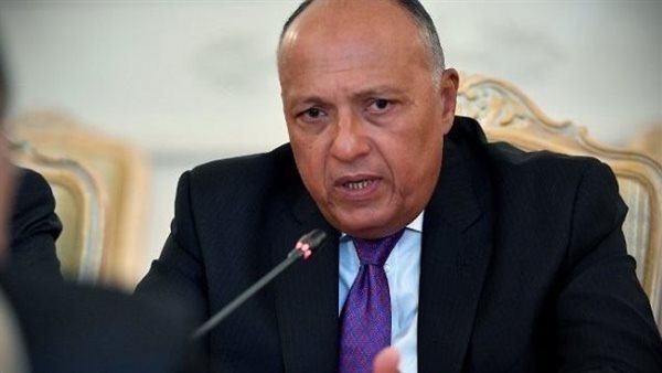 سامح شكري وزير الخارجية