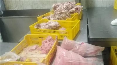 ضبط 4 أطنان هياكل ومجمد دواجن فاسدة في البحيرة