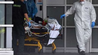 أحدث السلالات العالمية.. معلومات عن 