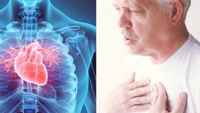 دراسة: كورونا يصيب الدهون المجاورة لعضلة القلب