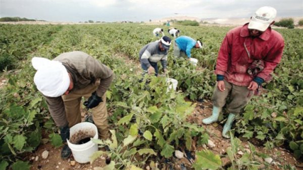 ارتفاع قياسي في درجات