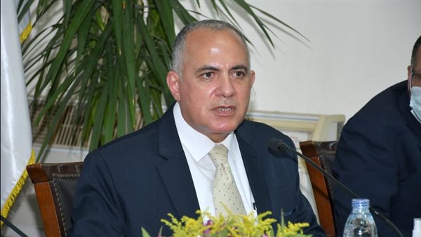 محمد عبد العاطي وزير