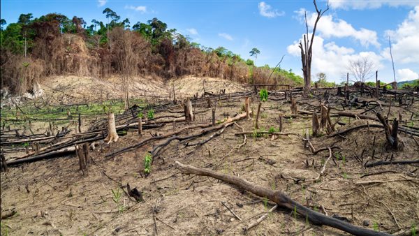 آثار التغير المناخي