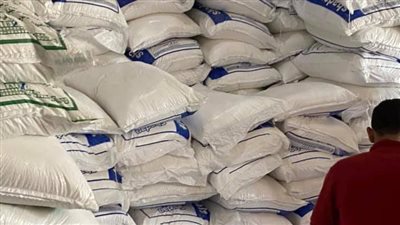 ضبط 47 طن ملح غير مطابق للمواصفات في المنوفية (صور)