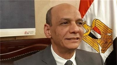 خبير أمني: جماعة الإخوان ألدّ عدو للشعب المصري