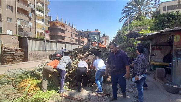 سقوط شجرة بحي شرق