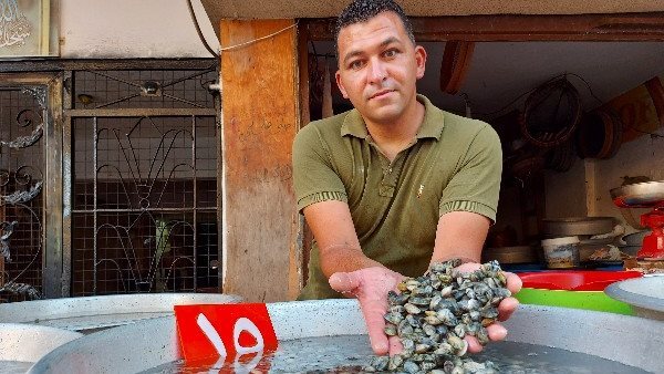 وجبة البكلويز البلدي