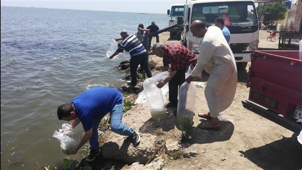 إلقاء زريعة أسماك