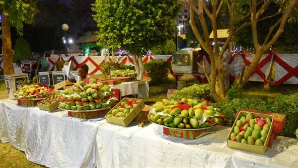 مهرجان مانجو أسوان