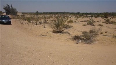 وهمية.. محافظة المنيا تهيب بالمواطنين إلى عدم التعامل مع إعلانات بيع أراضي الظهير الصحراوي