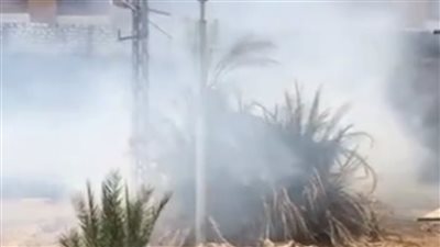  حريق بحديقة في أسوان دون وقوع إصابات