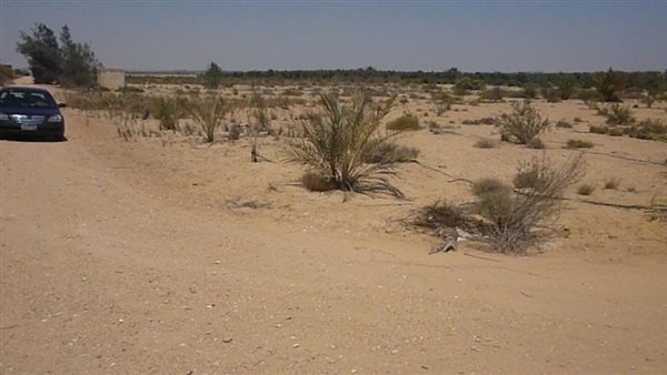 أراضي صحراوية - أرشيفية