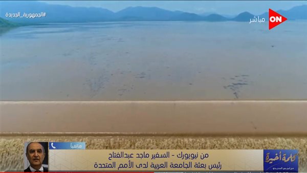 سفير جامعة الدول